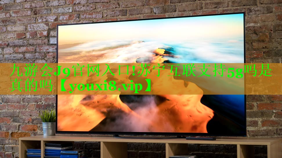 九游会J9官网入口!苏宁互联支持5g吗是真的吗
