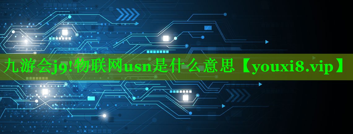 九游会j9!物联网usn是什么意思
