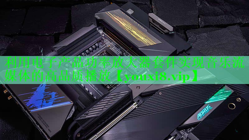利用电子产品功率放大器套件实现音乐流媒体的高品质播放