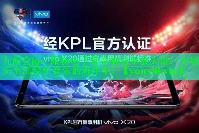 派杨电子管音响功率放大器:令您完全沉浸在音乐的海洋中! 派杨电子管音响功率放大器:令您完全沉浸在音乐的海洋中!
