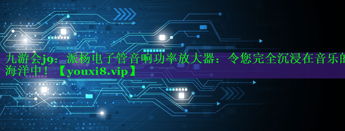 派杨电子管音响功率放大器:令您完全沉浸在音乐的海洋中! 派杨电子管音响功率放大器:令您完全沉浸在音乐的海洋中!