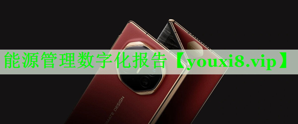 能源管理数字化报告 能源管理数字化报告