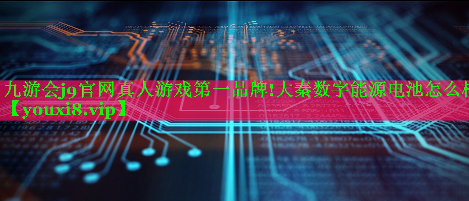 大秦数字能源电池怎么样 大秦数字能源电池怎么样