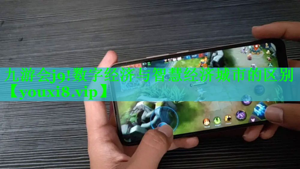 数字经济与智慧经济城市的区别 数字经济与智慧经济城市的区别