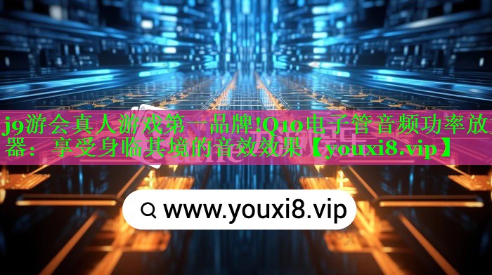Q10电子管音频功率放大器:享受身临其境的音效效果 Q10电子管音频功率放大器:享受身临其境的音效效果