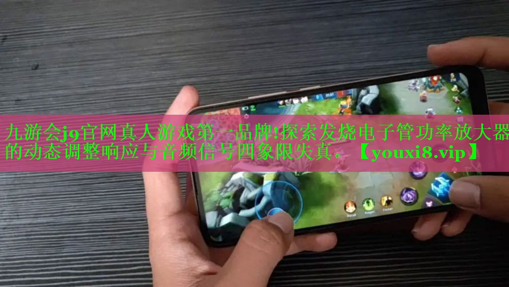 探索发烧电子管功率放大器的动态调整响应与音频信号四象限失真。 探索发烧电子管功率放大器的动态调整响应与音频信号四象限失真。