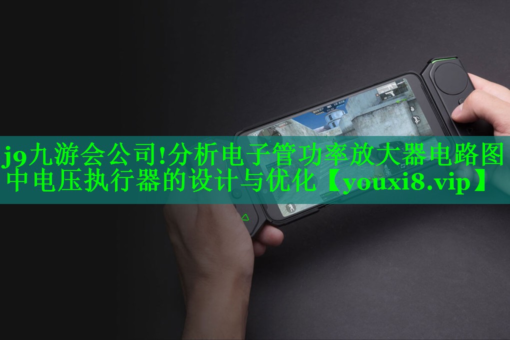 分析电子管功率放大器电路图中电压执行器的设计与优化 分析电子管功率放大器电路图中电压执行器的设计与优化