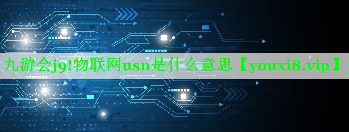 物联网usn是什么意思