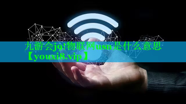 物联网usn是什么意思