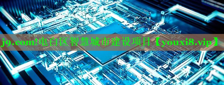 电白区智慧城市建设项目