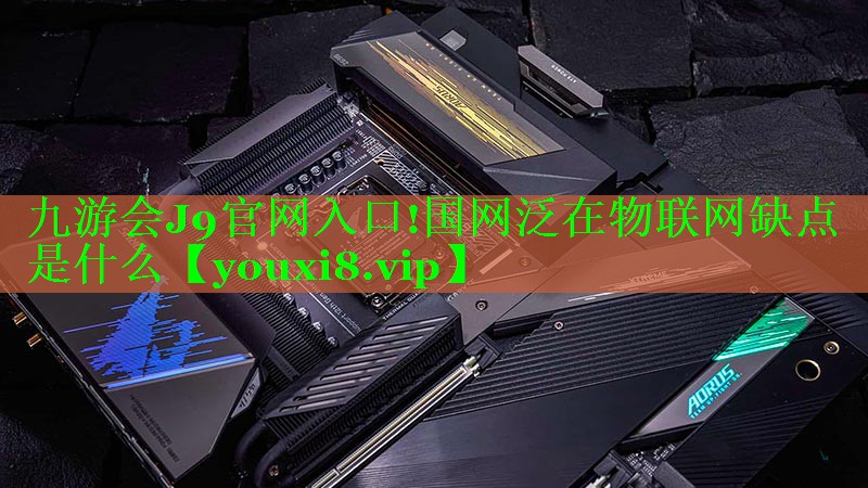 国网泛在物联网缺点是什么